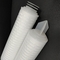 0.1 - cartucho de filtro plisado PP de la serie 20um para el filtro de seguridad del tratamiento de aguas del RO