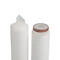 SATISFAGA el cartucho de filtro plisado los PP de la membrana, conveniente para las altas partículas suspendidas.