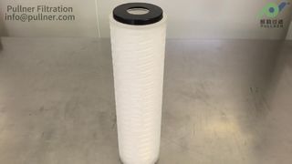 10 pulgadas de filtro plissado de PP