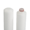 0.4 - cartucho de filtro plisado PP de alta densidad 0.7m2 para la filtración los reactivo de la pureza