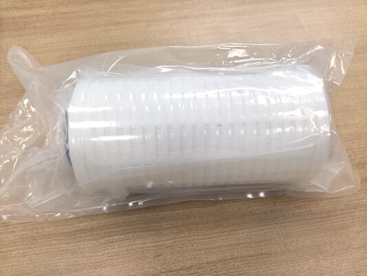 Cartucho de filtro de fluoropolímero serie PLPF con membrana de PTFE hidrófilo para resistencia a la corrosión química y baja precipitación