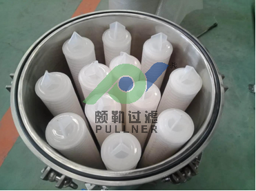 Carcasa de filtro multicartucho SS304/316L con certificación ISO para pretratamiento de ósmosis inversa y tratamiento de agua industrial